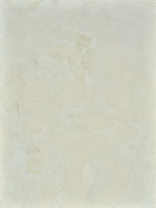 COSITA x Baucke Vinyl Backdrop -  Moon Landing