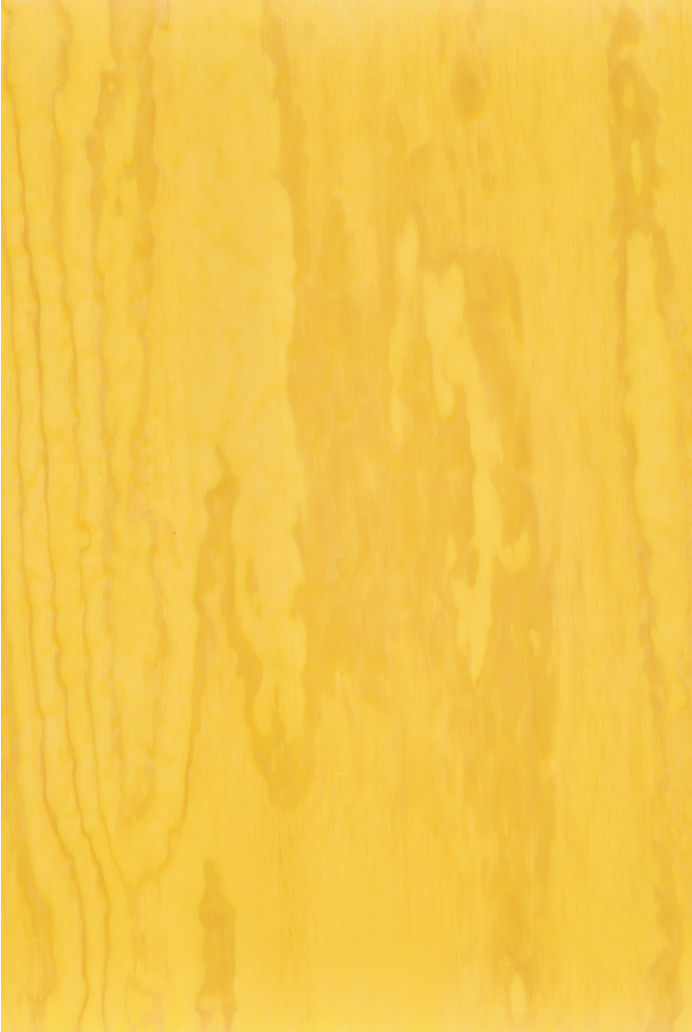 COSITA Vinyl Backdrop -  Turmeric