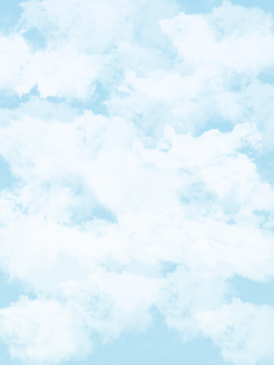 COSITA Vinyl Backdrop - Clouds