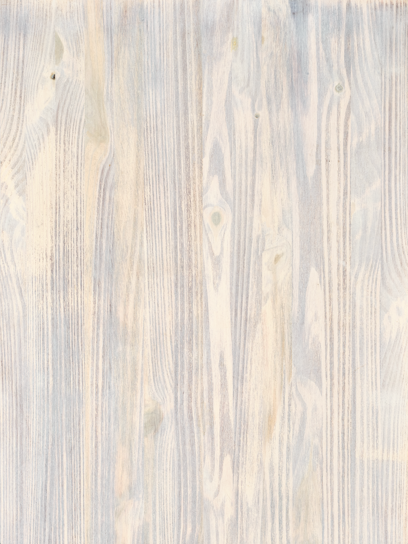 COSITA x surfacehaus Vinyl Backdrop - Mendocino