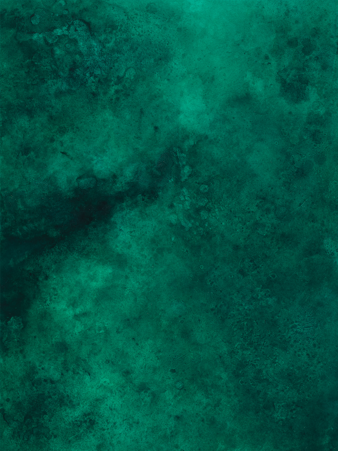 COSITA x surfacehaus Vinyl Backdrop - Phyllis