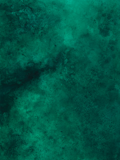 Fondo de vinilo COSITA x Surfacehaus - Prado 