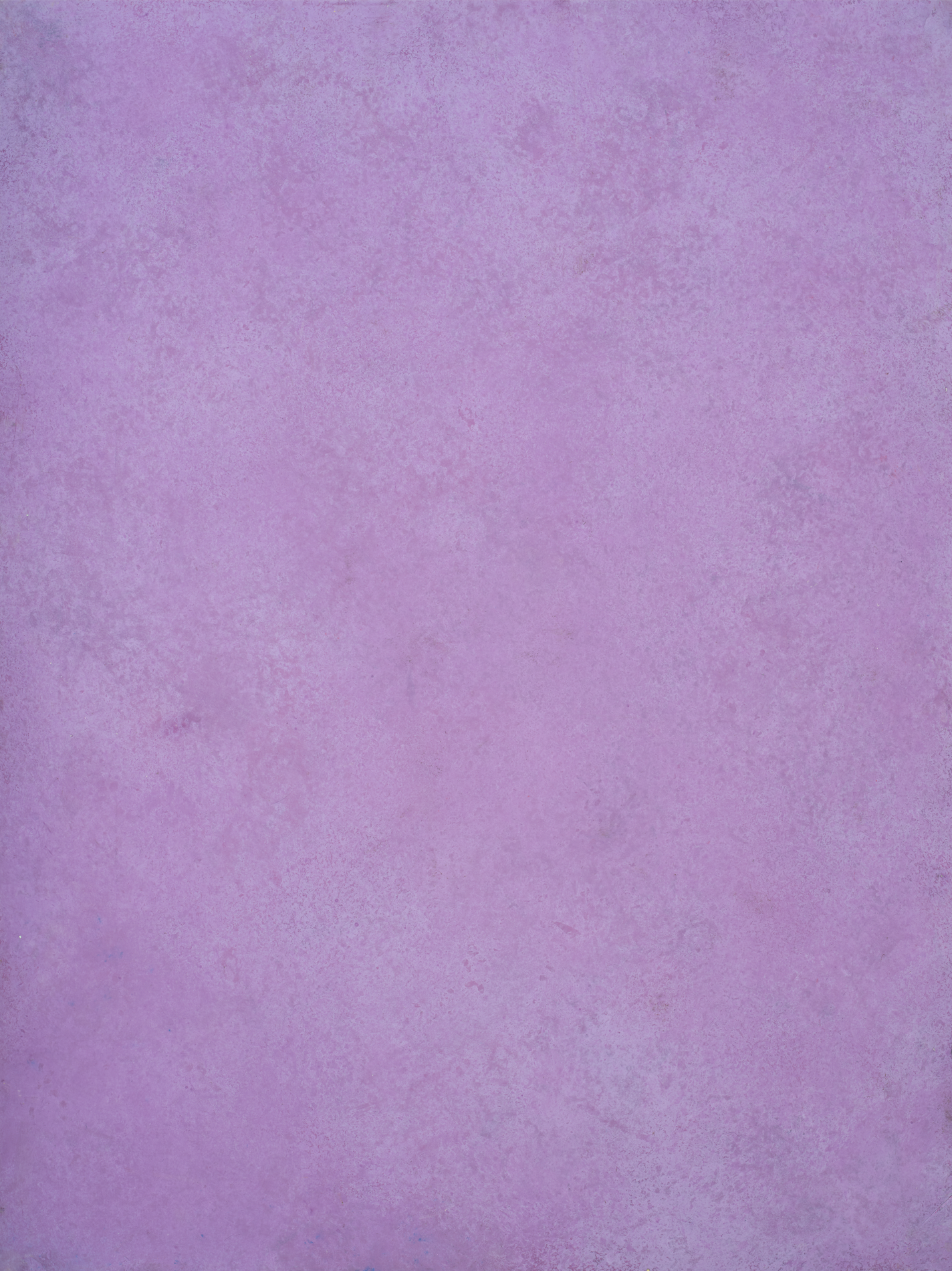 COSITA x surfacehaus Vinyl-Hintergrund – Wiese 