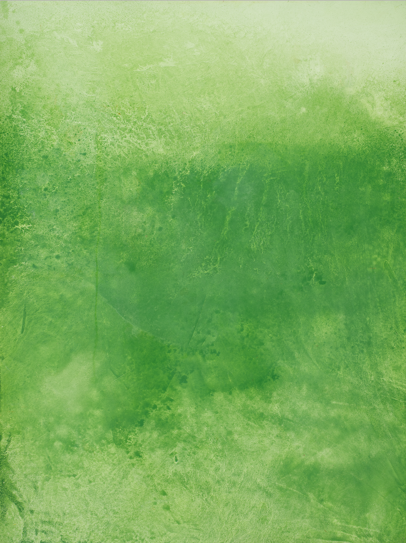 light lime green and deep vibrant green varied textured surface