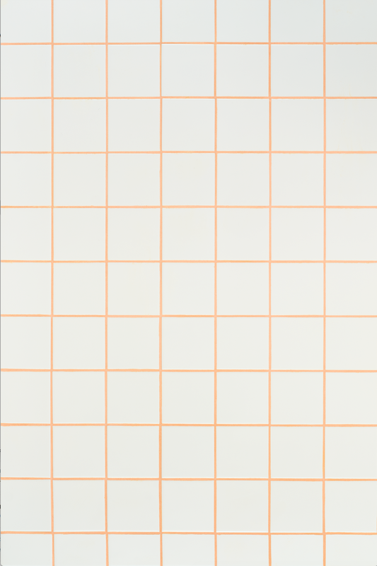vinyl backdrop of white square tile with bright orange grout