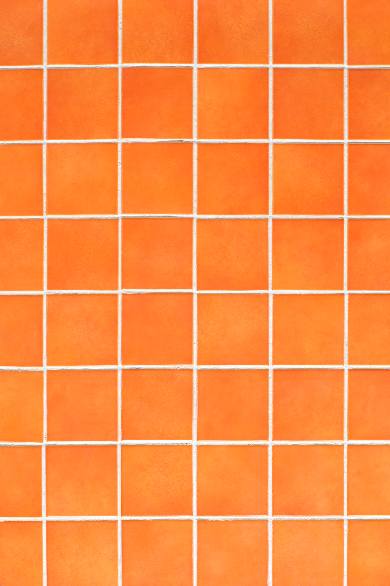 COSITA Vinyl Backdrop - Fuego