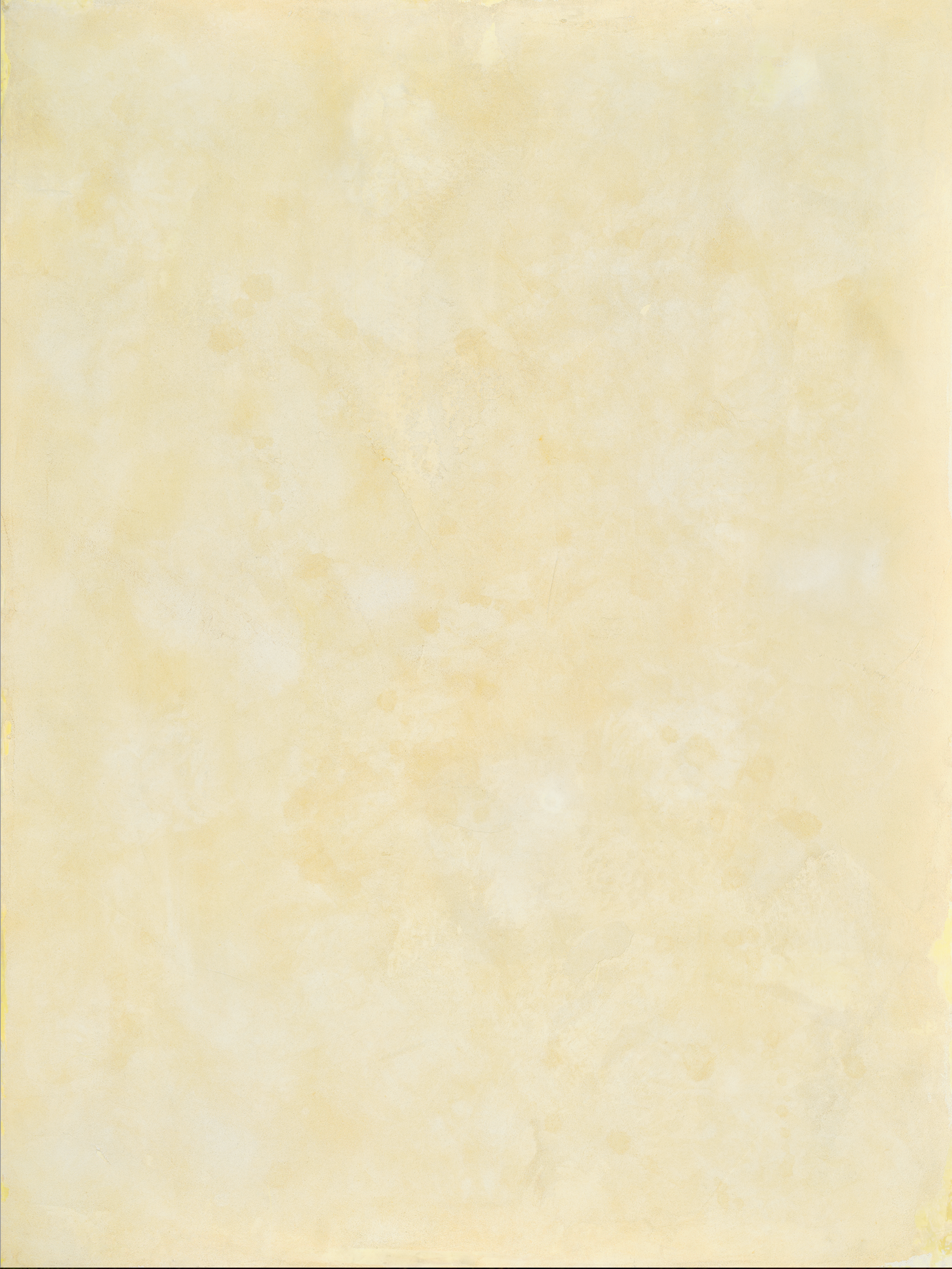 COSITA x surfacehaus Vinyl-Hintergrund – Wiese 