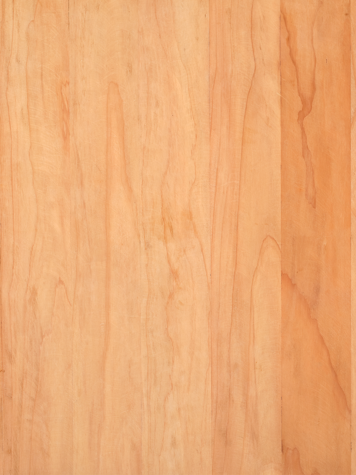 COSITA x surfacehaus Vinyl Backdrop - Beechy