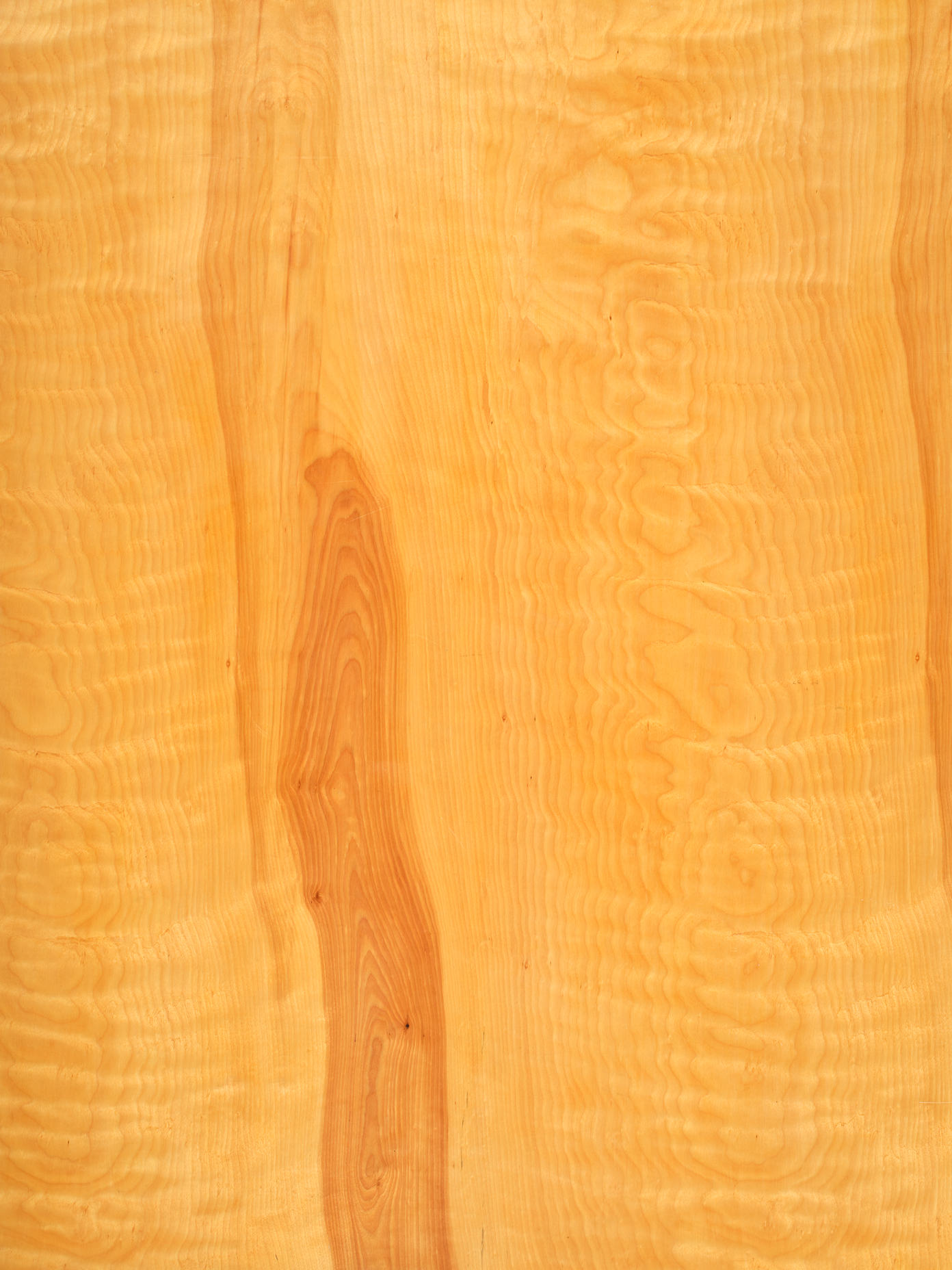 COSITA x surfacehaus Vinyl Backdrop - Captain