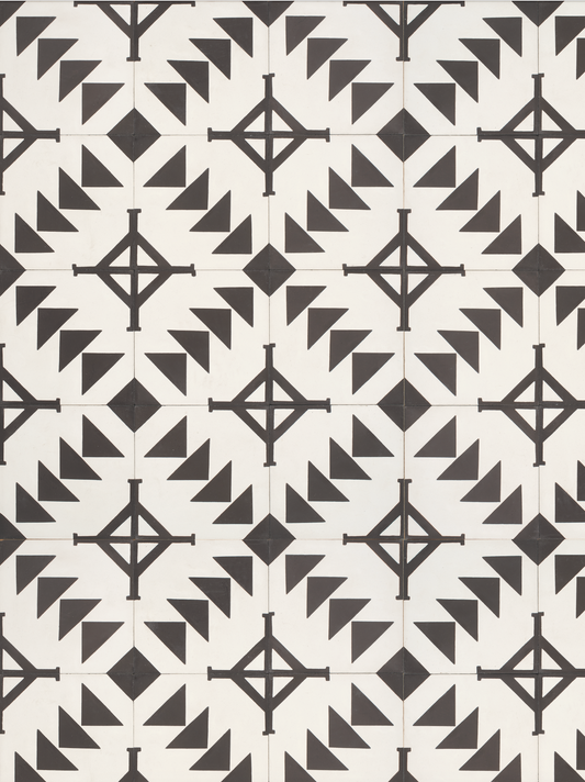 COSITA Vinyl Backdrop - Compass