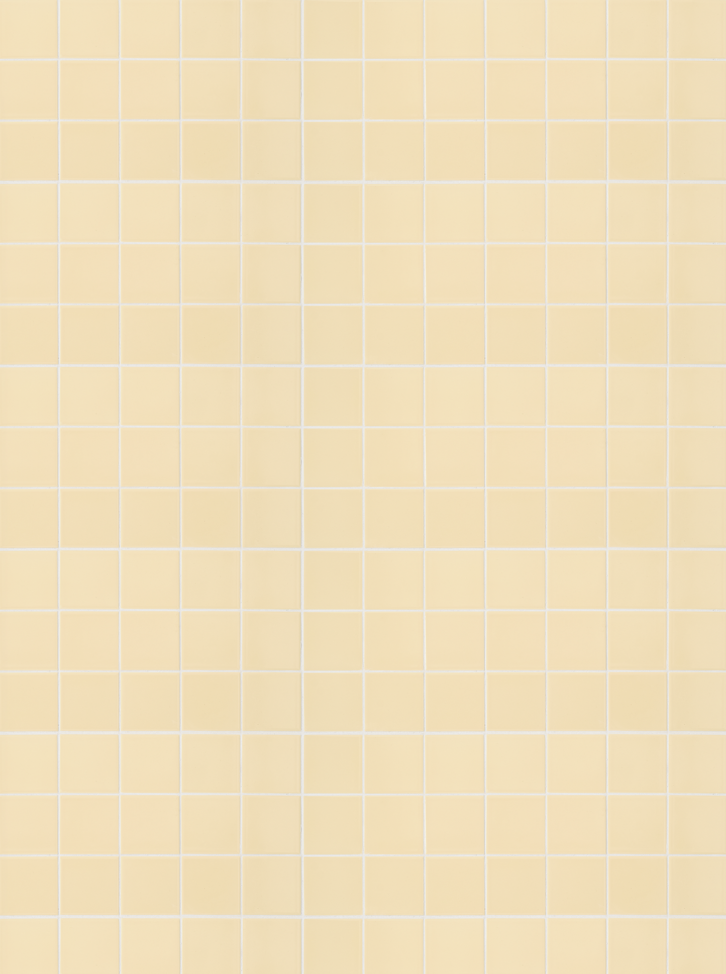 COSITA Vinyl Backdrop - Custard