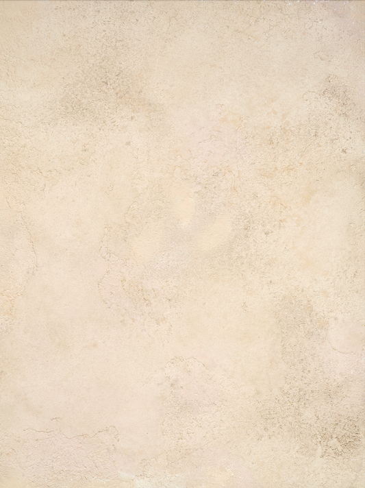 Warm toned white and brown textured plaster surface for photography