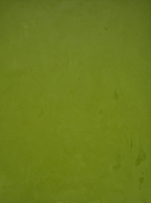 vinyl backdrop of textured vibrant grass colored green surface
