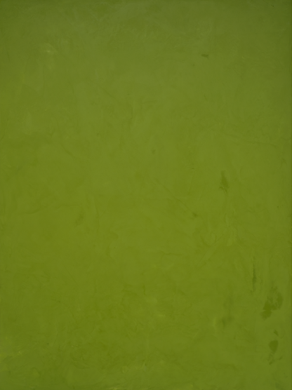 vinyl backdrop of textured vibrant grass colored green surface