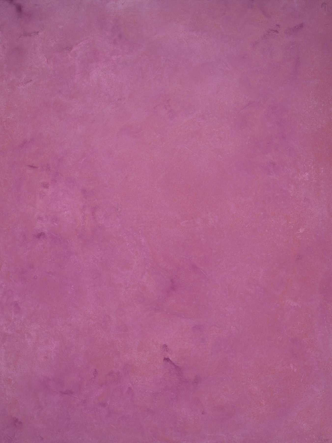 COSITA x surfacehaus Vinyl-Hintergrund – Wiese 