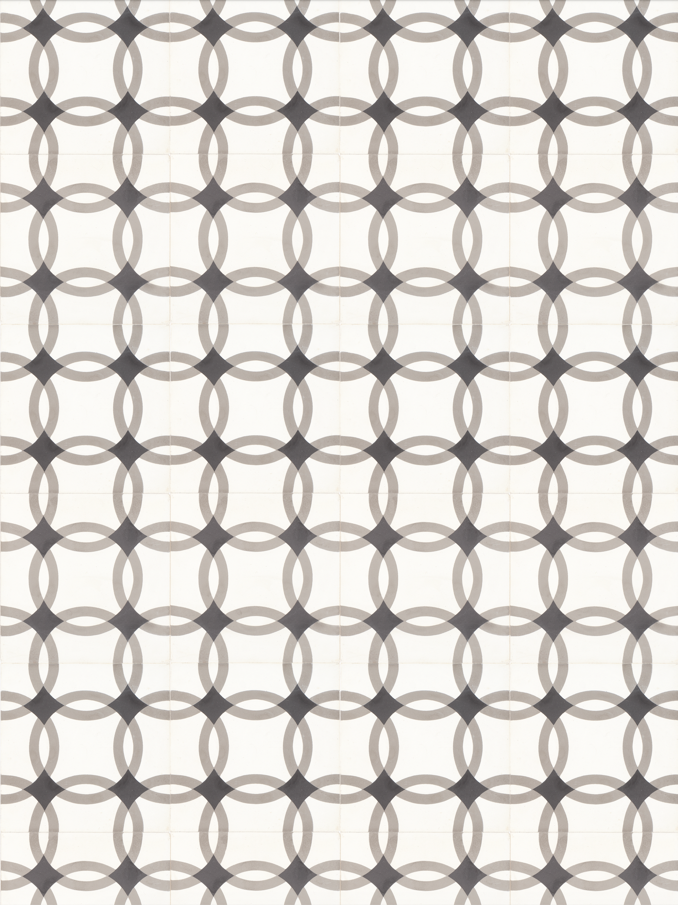 COSITA Vinyl Backdrop - La Maison