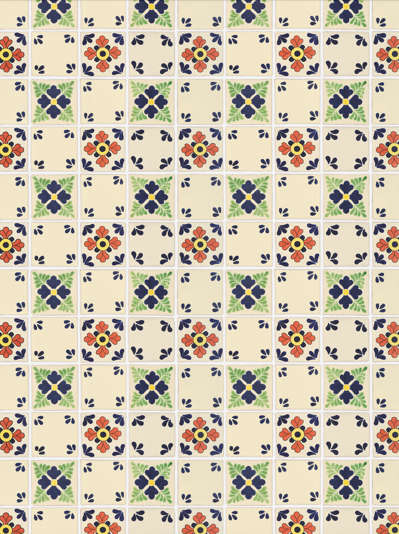 COSITA Vinyl Backdrop - La Paz