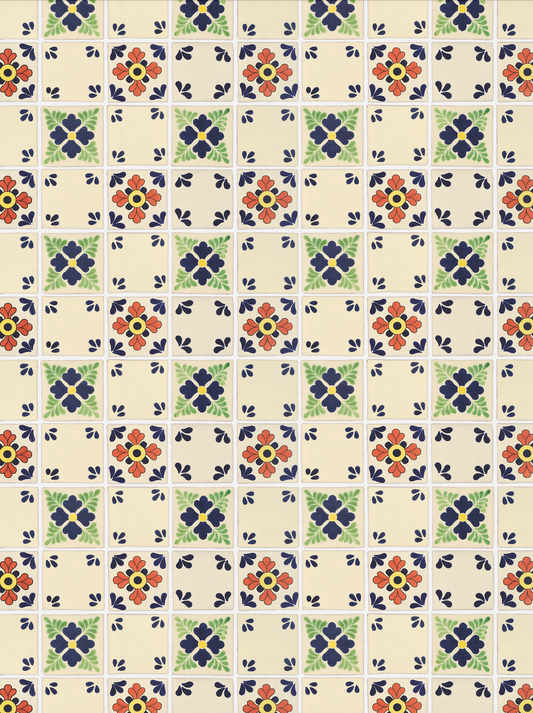 COSITA Vinyl Backdrop - La Paz