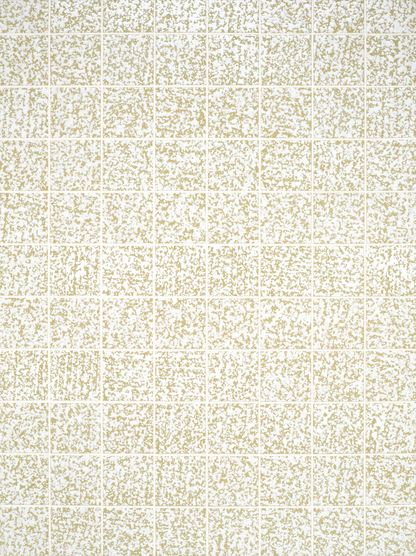 Fondo de vinilo COSITA x Surfacehaus - Prado 