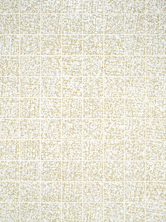 COSITA Vinyl Backdrop - Martinis at 6