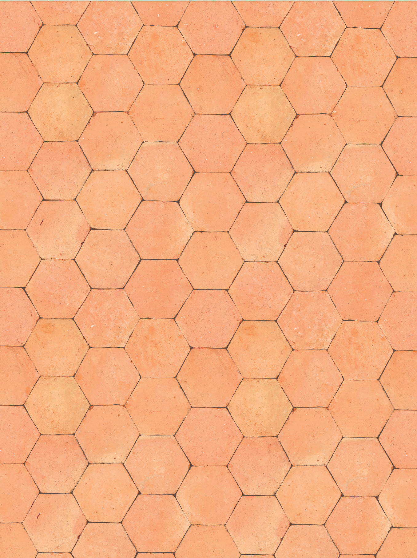 COSITA Vinyl Backdrop - Michelada