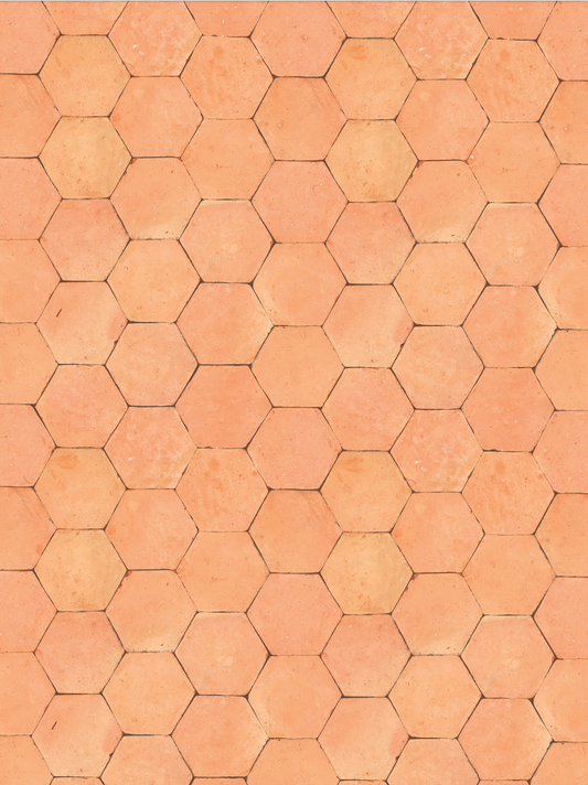 COSITA Vinyl Backdrop - Michelada