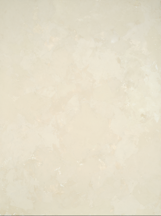 COSITA Vinyl Backdrop - Textured Tundra