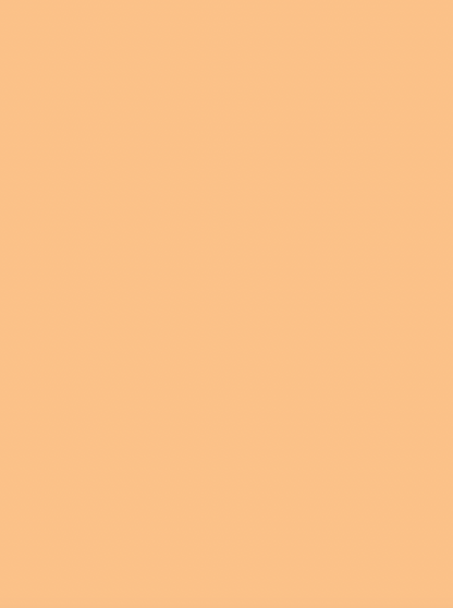 COSITA Vinyl Backdrop -  Marmalade