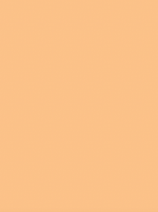 COSITA Vinyl Backdrop -  Marmalade