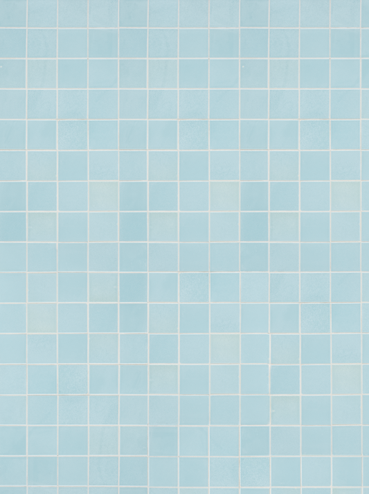 COSITA Vinyl Backdrop -  Sardinia