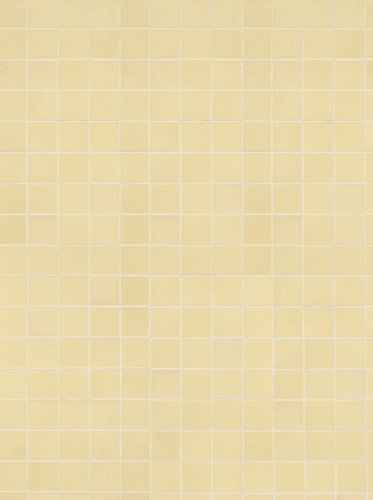 COSITA Vinyl Backdrop -  Butter Cream