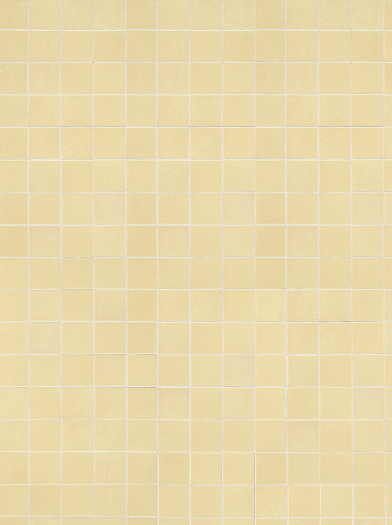 COSITA Vinyl Backdrop -  Butter Cream