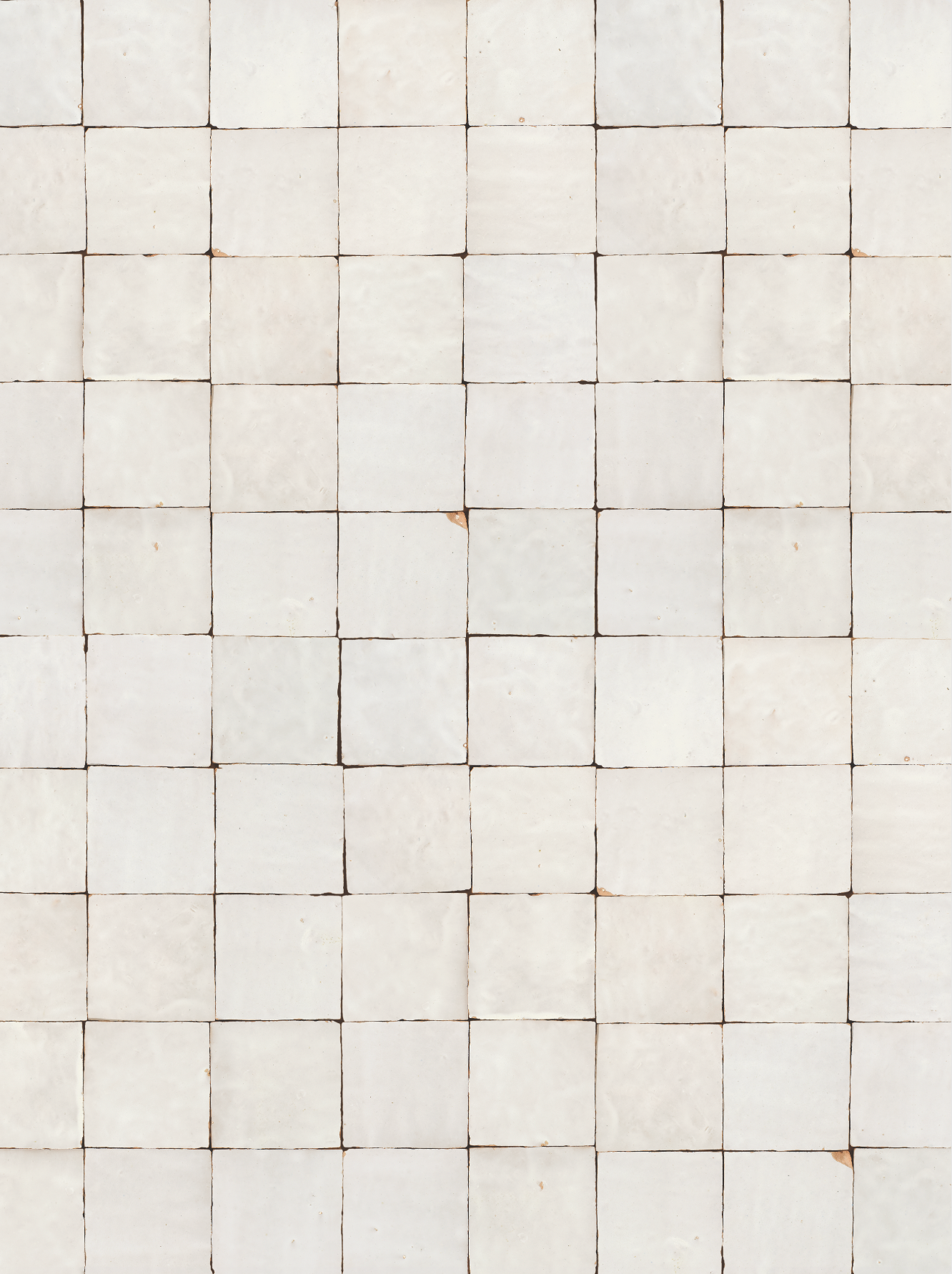 COSITA x surfacehaus Vinyl-Hintergrund – Wiese 