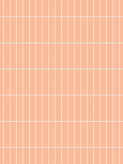 COSITA Vinyl Backdrop - Peach Fuzz