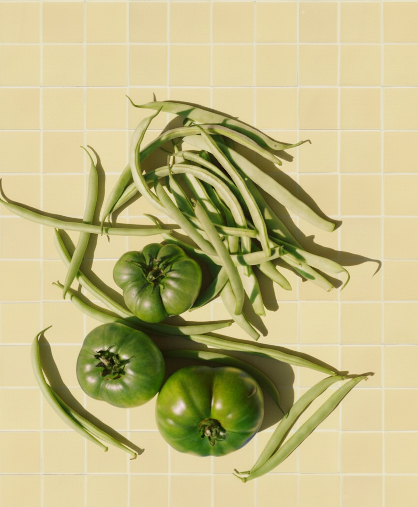 COSITA Vinyl Backdrop -  Butter Cream