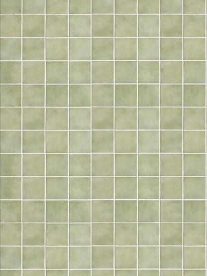 Fondo de vinilo COSITA x Surfacehaus - Prado 