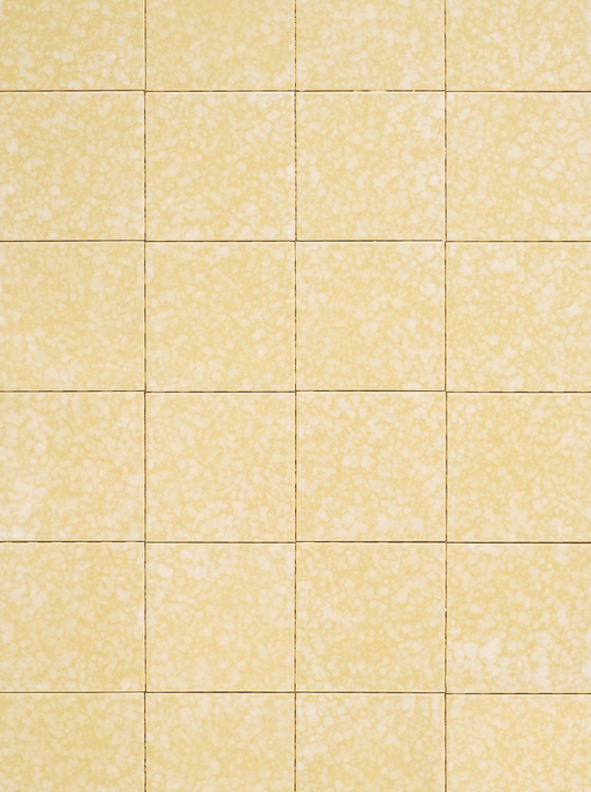 COSITA Vinyl-Hintergrund – Lavendelschale 