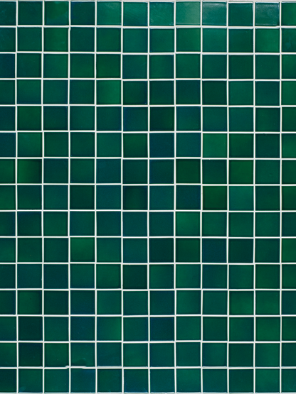 Fondo de vinilo COSITA - Trébol 