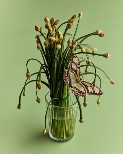 COSITA Vinyl Backdrop -  Stem