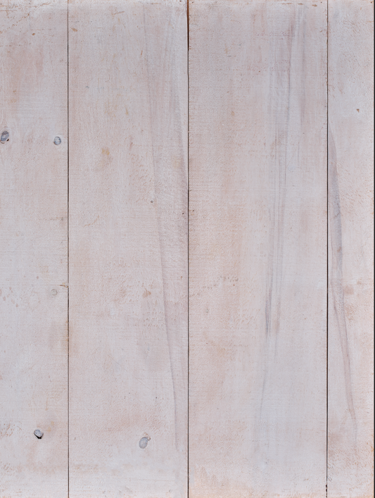 COSITA Vinyl Backdrop -  Summer Garden