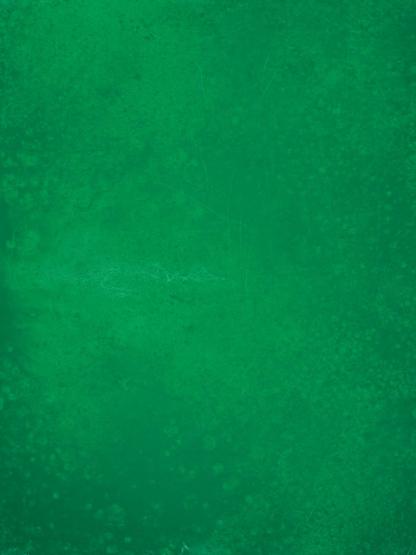 COSITA Vinyl Backdrop -  Verde