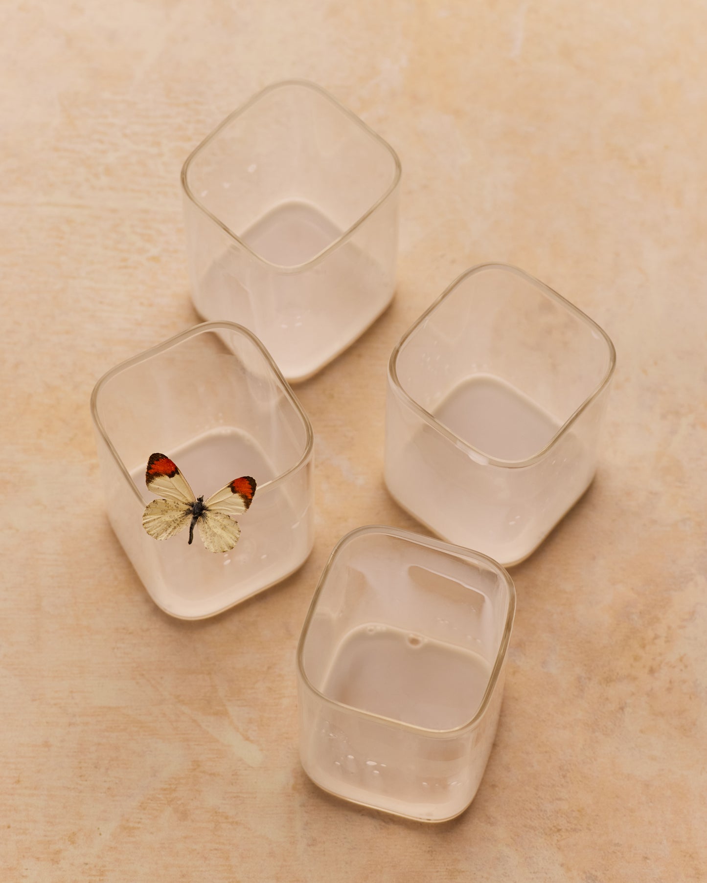 Fondo de vinilo COSITA x Surfacehaus - Prado 