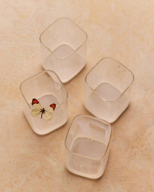 Fondo de vinilo COSITA x Surfacehaus - Prado 