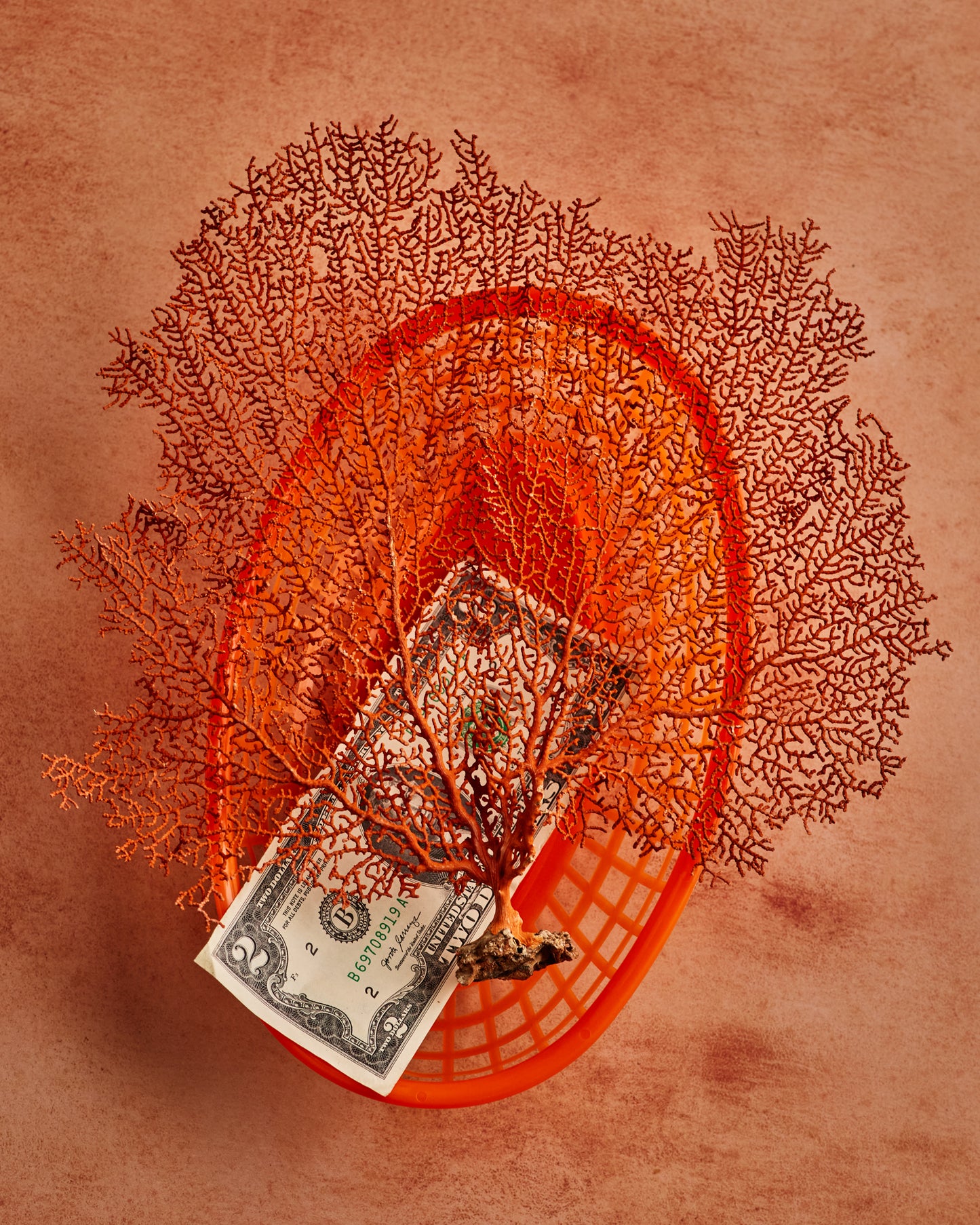 COSITA x surfacehaus Vinyl Backdrop -  Meadow