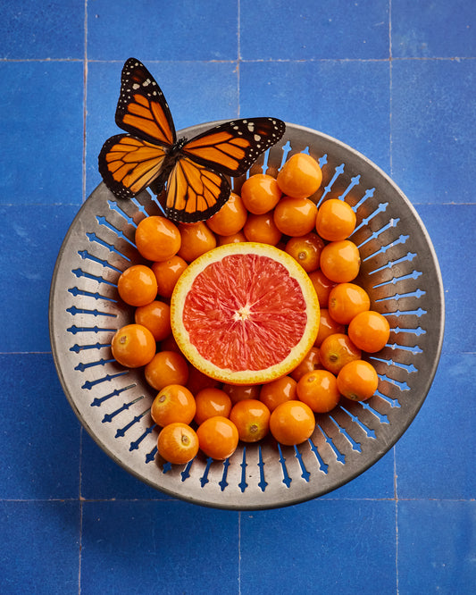COSITA Vinyl Backdrop - Feeling Blue