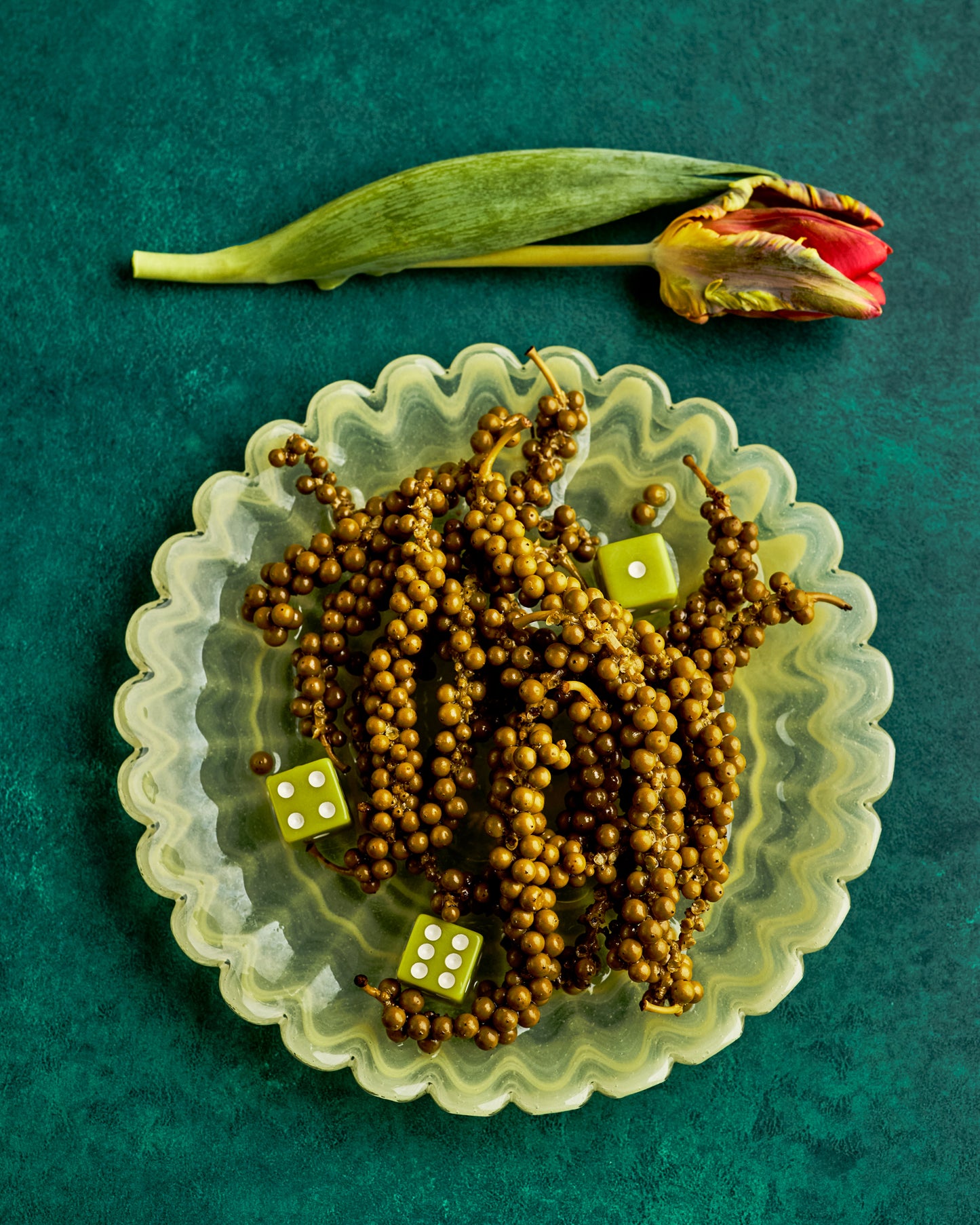 COSITA x surfacehaus Vinyl-Hintergrund – Wiese 