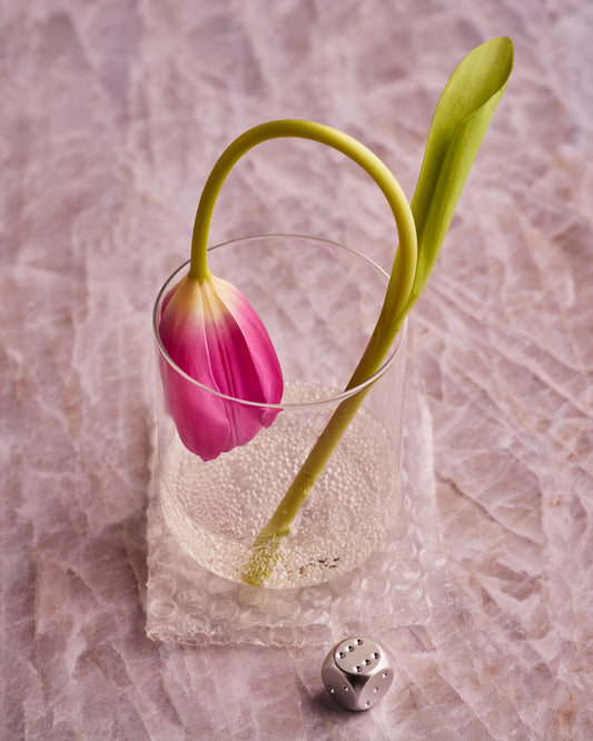 COSITA Vinyl Backdrop -  Taj Mahal