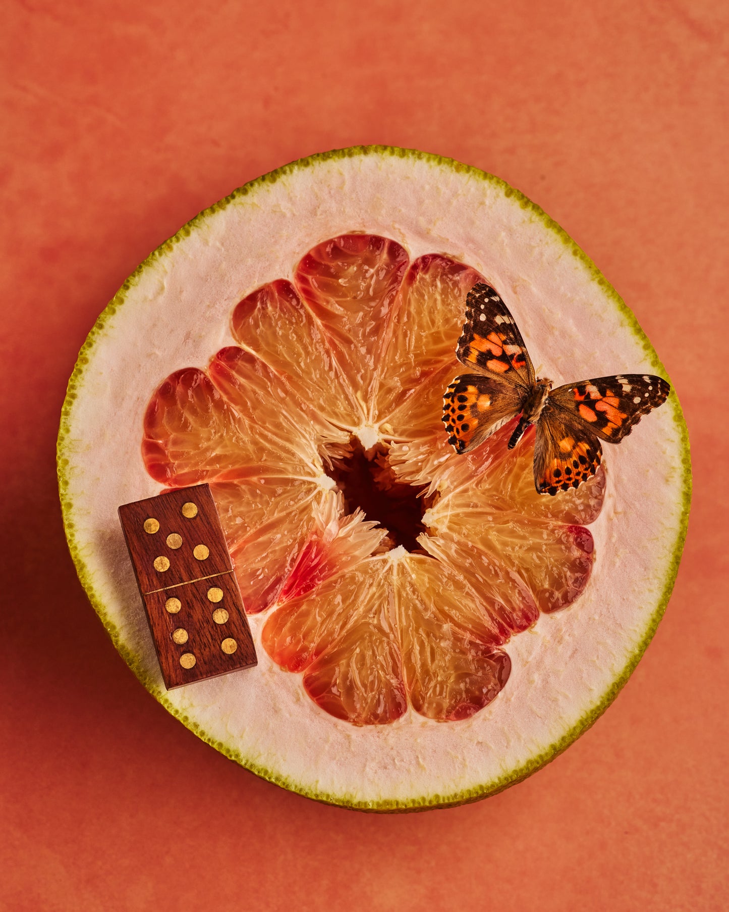 COSITA Vinyl Backdrop -  Ocean Drive