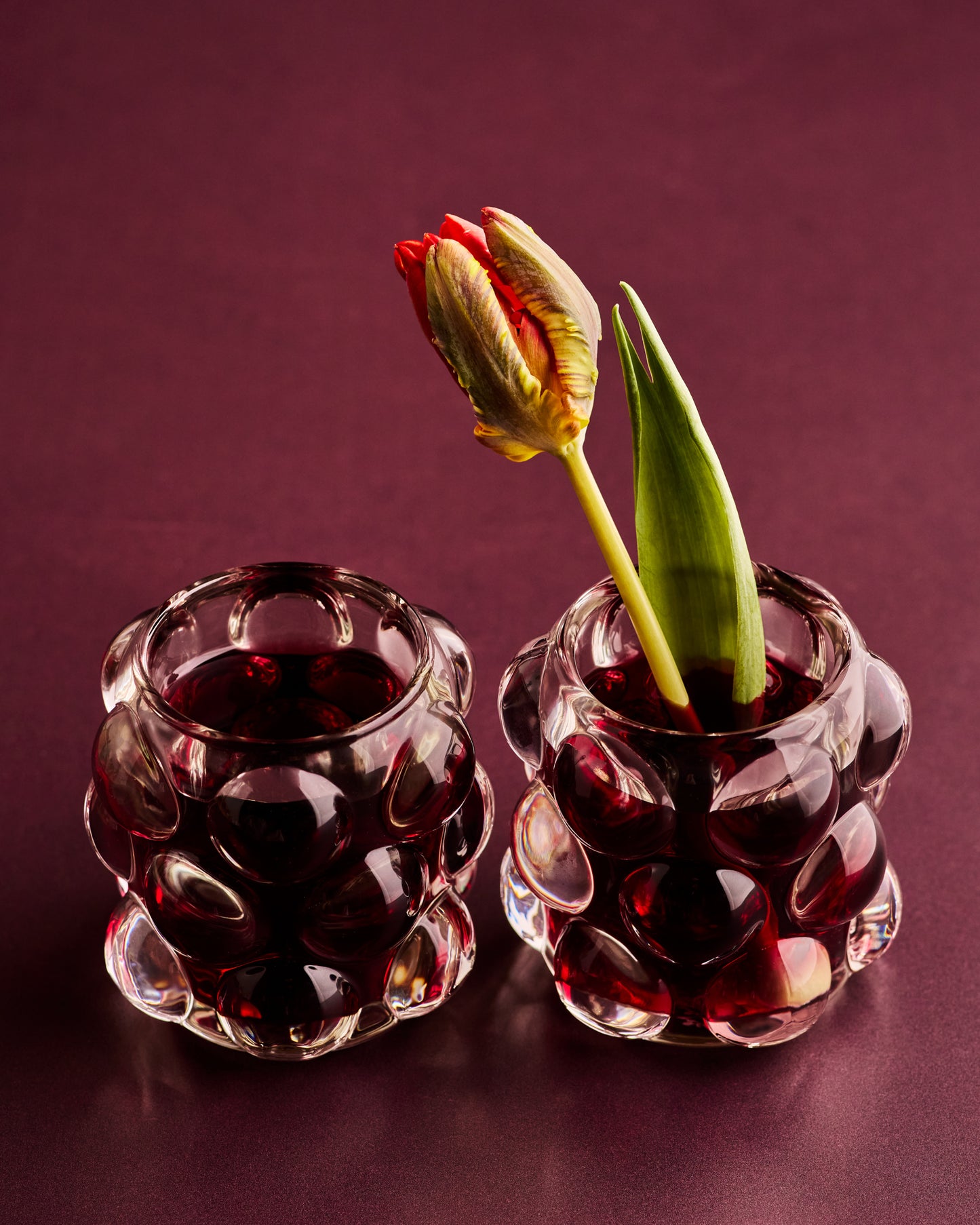 COSITA x surfacehaus Vinyl-Hintergrund – Wiese 