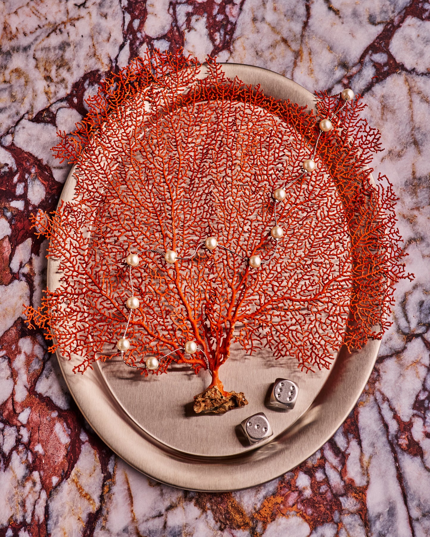 COSITA Vinyl Backdrop -  Calacatta Granviola